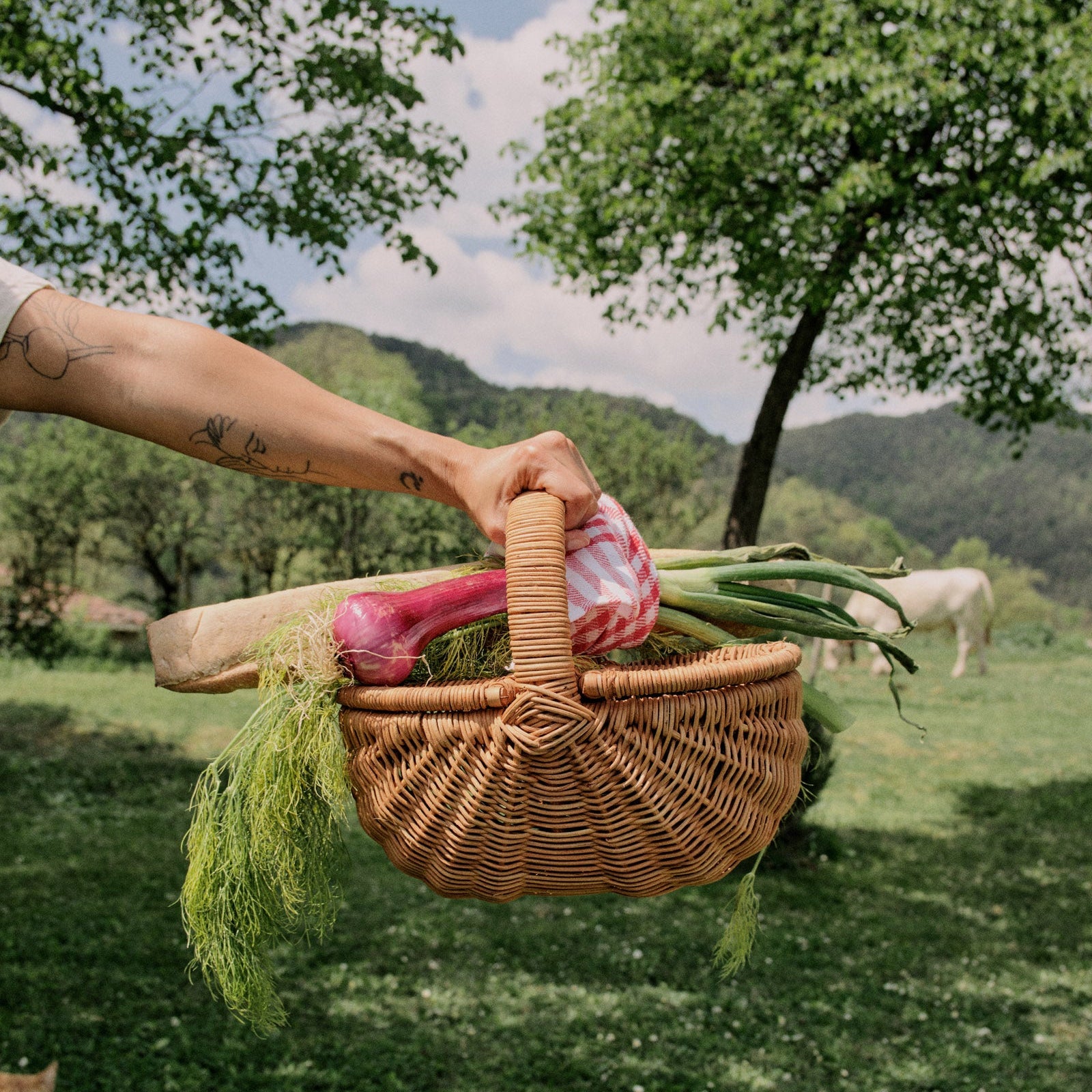 Cesta Picnic